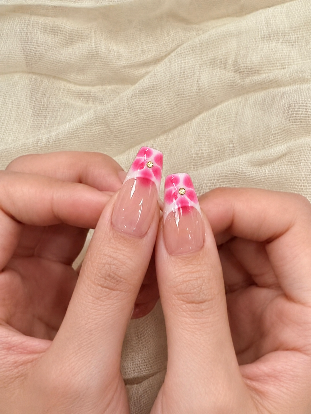 Blush Cow Bloom